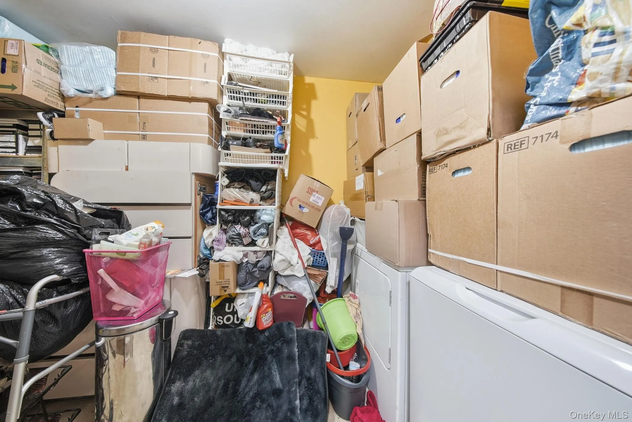 15 Park Avenue, Ramapo, NY, 1 Bedroom Bedrooms, 6 Rooms Rooms,2 BathroomsBathrooms,Residential,For Rent,Park,0,1028444 15 Park Avenue, Ramapo, NY, 1 Bedroom Bedrooms, 6 Rooms Rooms,2 BathroomsBathrooms,Residential,For Rent,Park,0,1028444