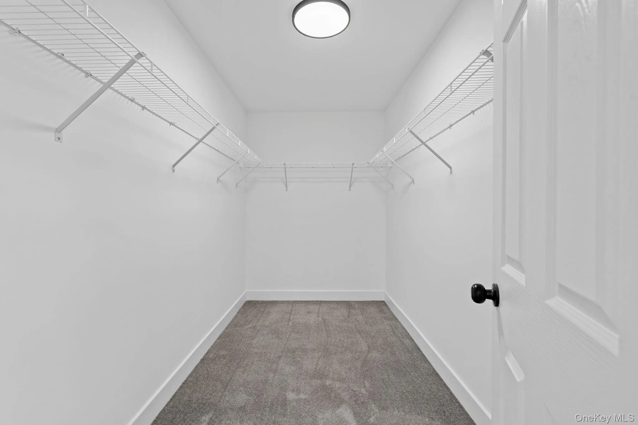 Walk in closet with carpet flooring Walk in closet with carpet flooring