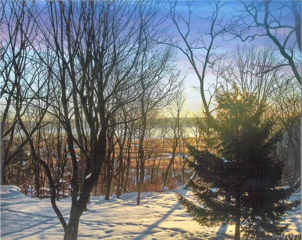 Seasonal views of the Hudson River and the additional lot. Seasonal views of the Hudson River and the additional lot.