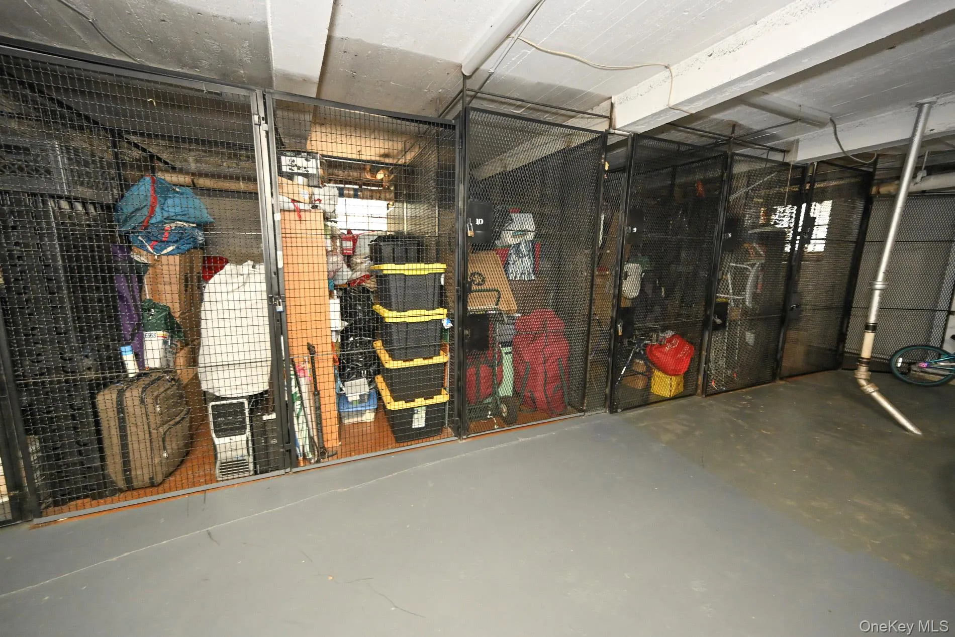 61-41 Saunders Street, New York, NY, 2 Bedrooms Bedrooms, 4 Rooms Rooms,1 BathroomBathrooms,Residential,For Rent,Saunders,0,1028528 61-41 Saunders Street, New York, NY, 2 Bedrooms Bedrooms, 4 Rooms Rooms,1 BathroomBathrooms,Residential,For Rent,Saunders,0,1028528
