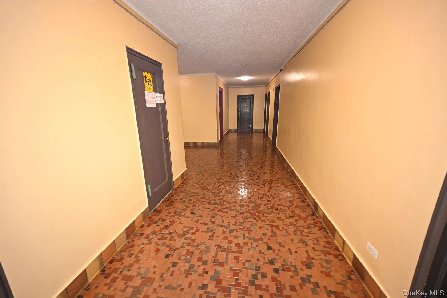 61-41 Saunders Street, New York, NY, 2 Bedrooms Bedrooms, 4 Rooms Rooms,1 BathroomBathrooms,Residential,For Rent,Saunders,0,1028528 61-41 Saunders Street, New York, NY, 2 Bedrooms Bedrooms, 4 Rooms Rooms,1 BathroomBathrooms,Residential,For Rent,Saunders,0,1028528