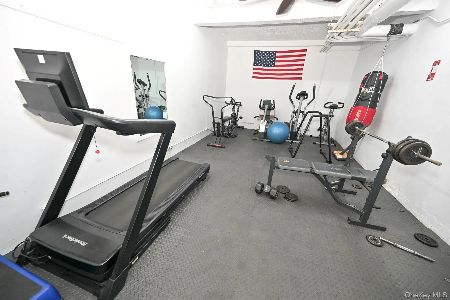 61-41 Saunders Street, New York, NY, 2 Bedrooms Bedrooms, 4 Rooms Rooms,1 BathroomBathrooms,Residential,For Rent,Saunders,0,1028528 61-41 Saunders Street, New York, NY, 2 Bedrooms Bedrooms, 4 Rooms Rooms,1 BathroomBathrooms,Residential,For Rent,Saunders,0,1028528