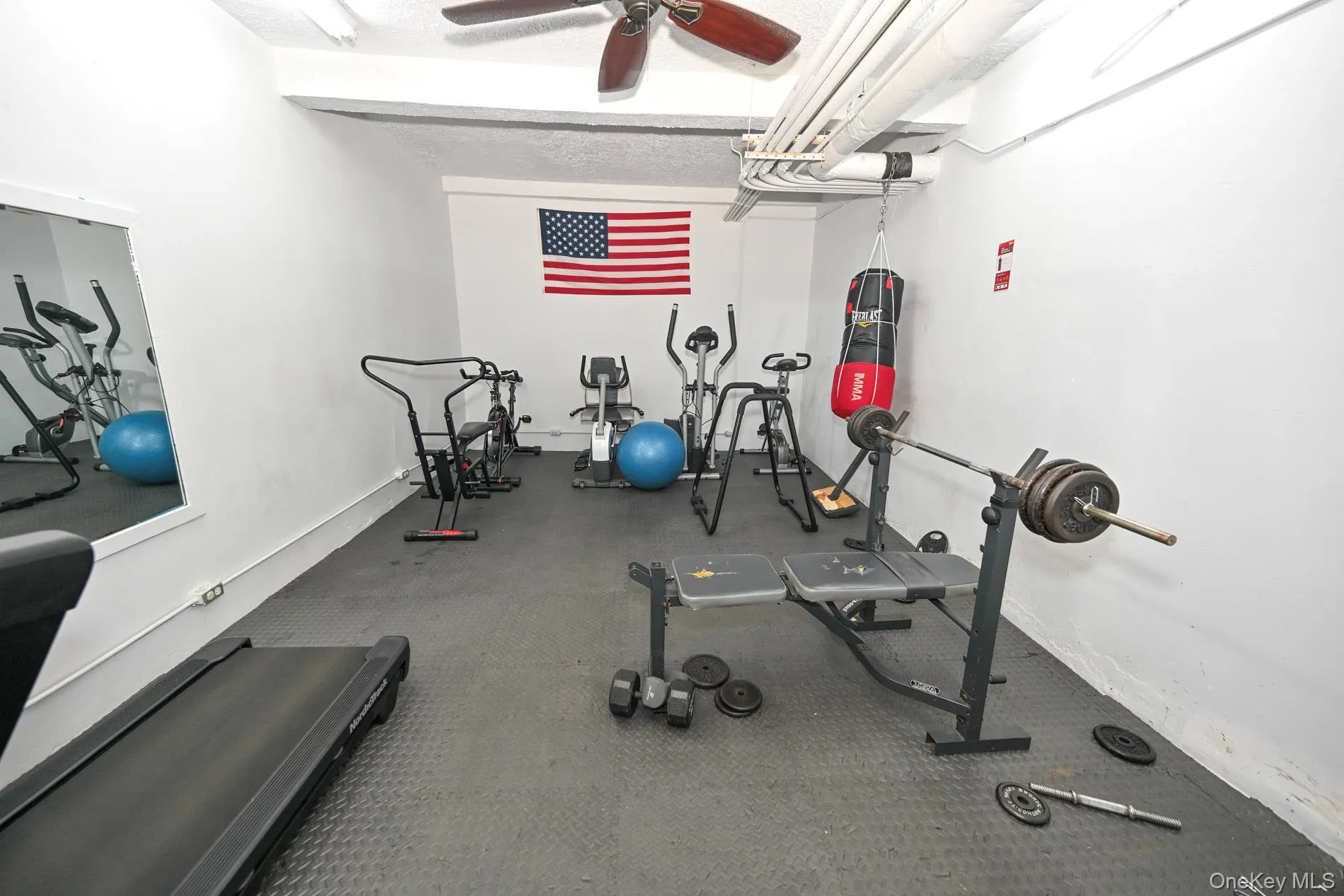 61-41 Saunders Street, New York, NY, 2 Bedrooms Bedrooms, 4 Rooms Rooms,1 BathroomBathrooms,Residential,For Rent,Saunders,0,1028528 61-41 Saunders Street, New York, NY, 2 Bedrooms Bedrooms, 4 Rooms Rooms,1 BathroomBathrooms,Residential,For Rent,Saunders,0,1028528