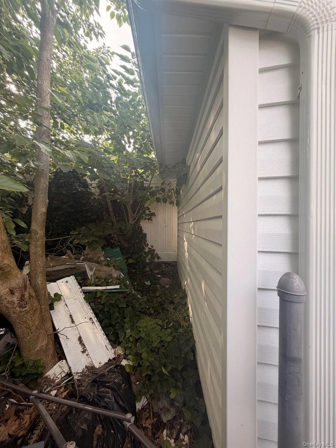 1862 37th Street, New York, NY, 3 Bedrooms Bedrooms, 5 Rooms Rooms,1 BathroomBathrooms,Residential,For Rent,37th,0,1028567 1862 37th Street, New York, NY, 3 Bedrooms Bedrooms, 5 Rooms Rooms,1 BathroomBathrooms,Residential,For Rent,37th,0,1028567