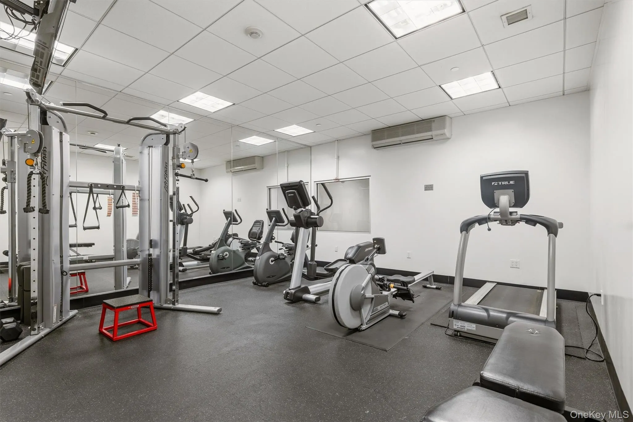 25 Leroy Place, New Rochelle, NY, 1 Bedroom Bedrooms, 3 Rooms Rooms,1 BathroomBathrooms,Residential,For Rent,Leroy,0,1028569 25 Leroy Place, New Rochelle, NY, 1 Bedroom Bedrooms, 3 Rooms Rooms,1 BathroomBathrooms,Residential,For Rent,Leroy,0,1028569
