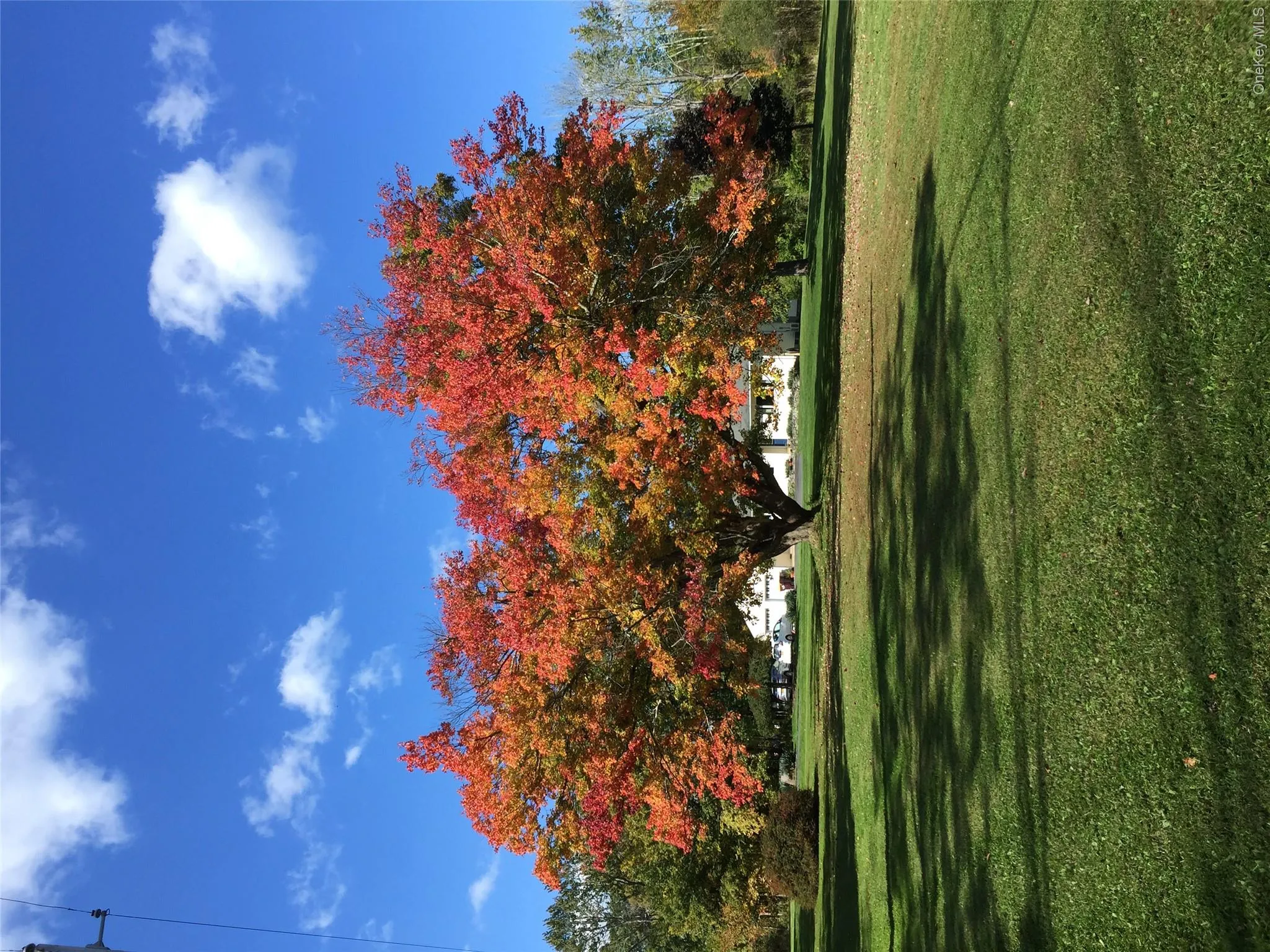 30 Murray Road, Middletown, NY, 3 Bedrooms Bedrooms, 7 Rooms Rooms,1 BathroomBathrooms,Residential,For Rent,Murray,0,1028580 30 Murray Road, Middletown, NY, 3 Bedrooms Bedrooms, 7 Rooms Rooms,1 BathroomBathrooms,Residential,For Rent,Murray,0,1028580