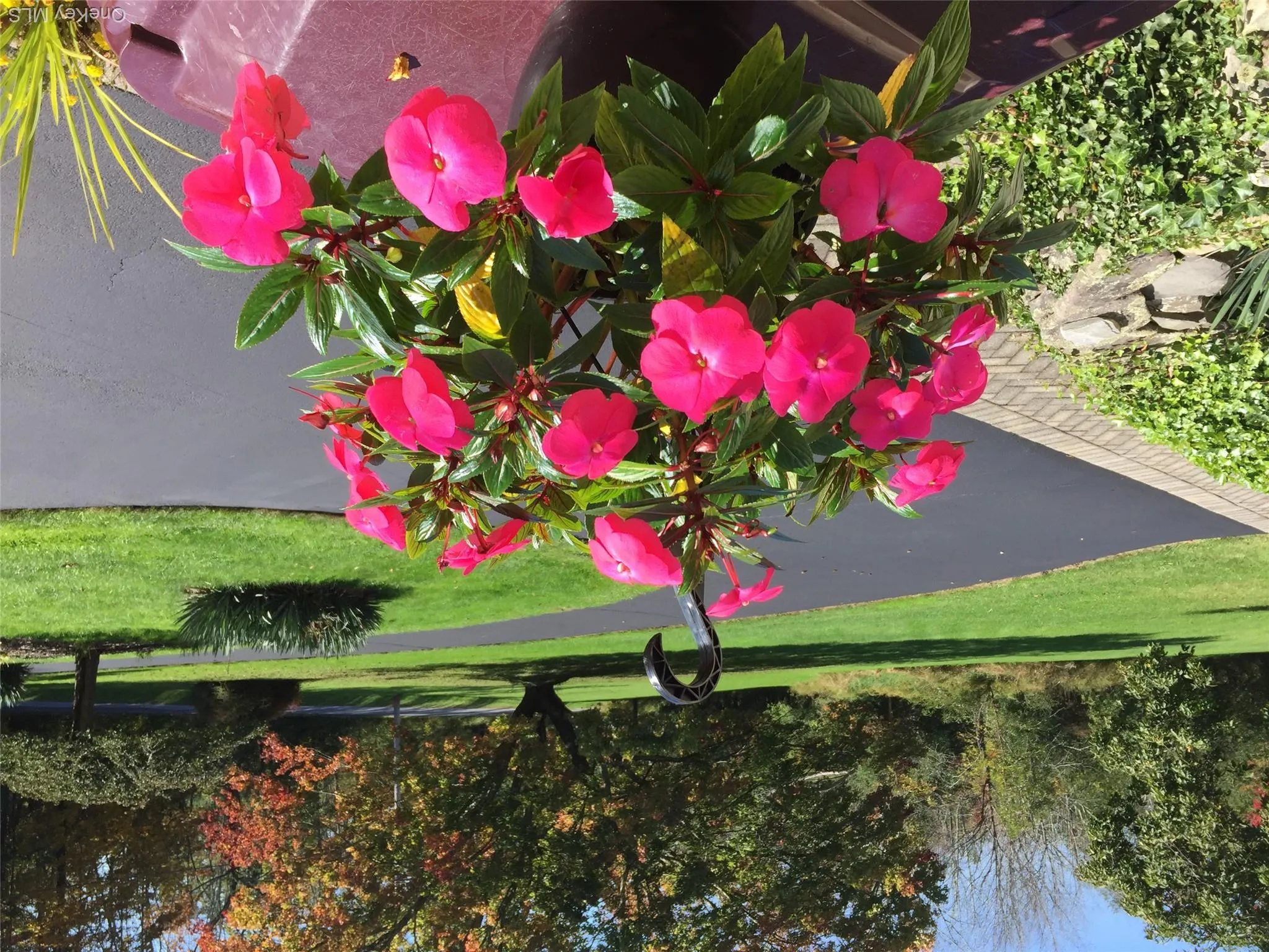 30 Murray Road, Middletown, NY, 3 Bedrooms Bedrooms, 7 Rooms Rooms,1 BathroomBathrooms,Residential,For Rent,Murray,0,1028580 30 Murray Road, Middletown, NY, 3 Bedrooms Bedrooms, 7 Rooms Rooms,1 BathroomBathrooms,Residential,For Rent,Murray,0,1028580