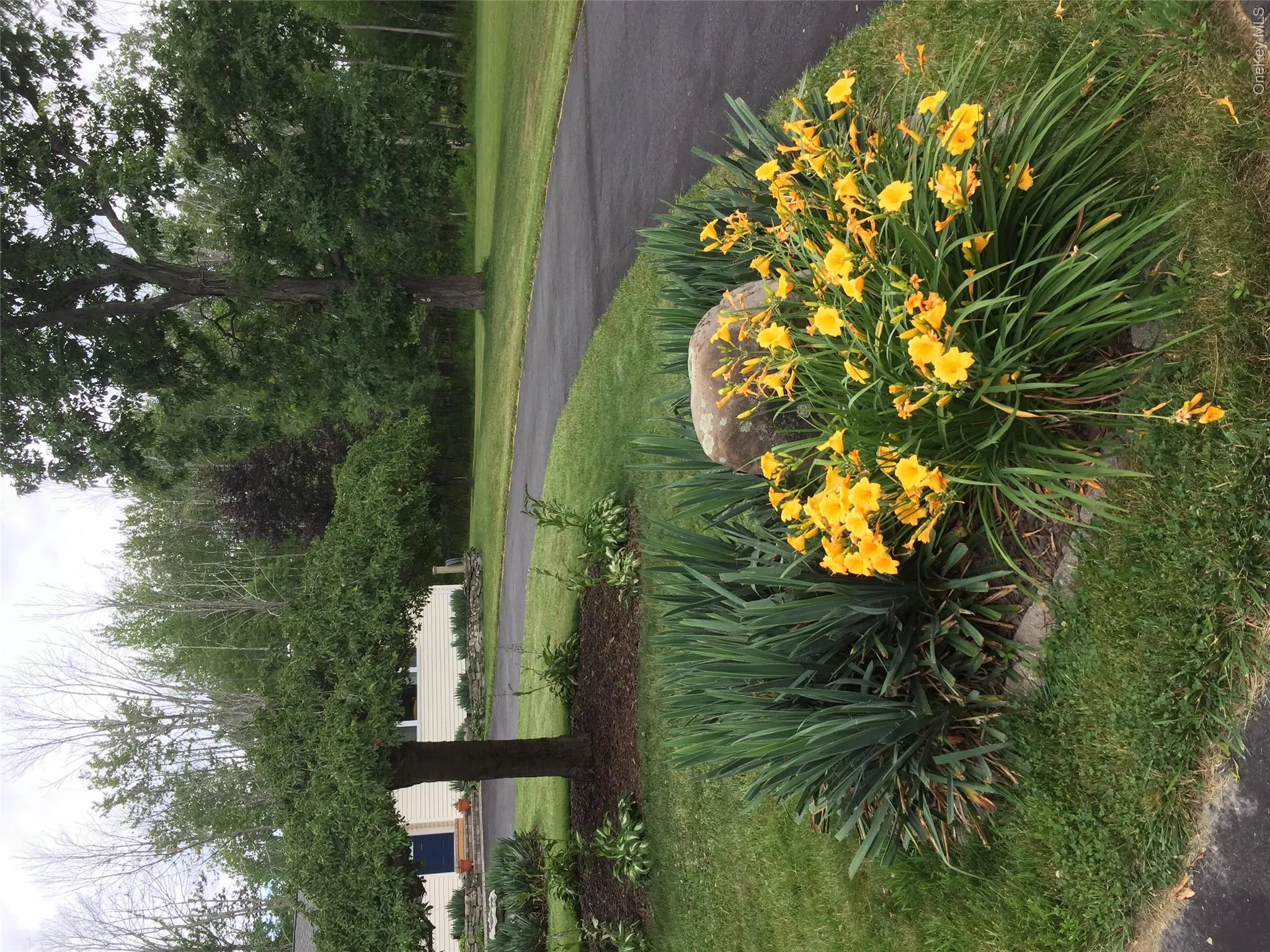 30 Murray Road, Middletown, NY, 3 Bedrooms Bedrooms, 7 Rooms Rooms,1 BathroomBathrooms,Residential,For Rent,Murray,0,1028580 30 Murray Road, Middletown, NY, 3 Bedrooms Bedrooms, 7 Rooms Rooms,1 BathroomBathrooms,Residential,For Rent,Murray,0,1028580
