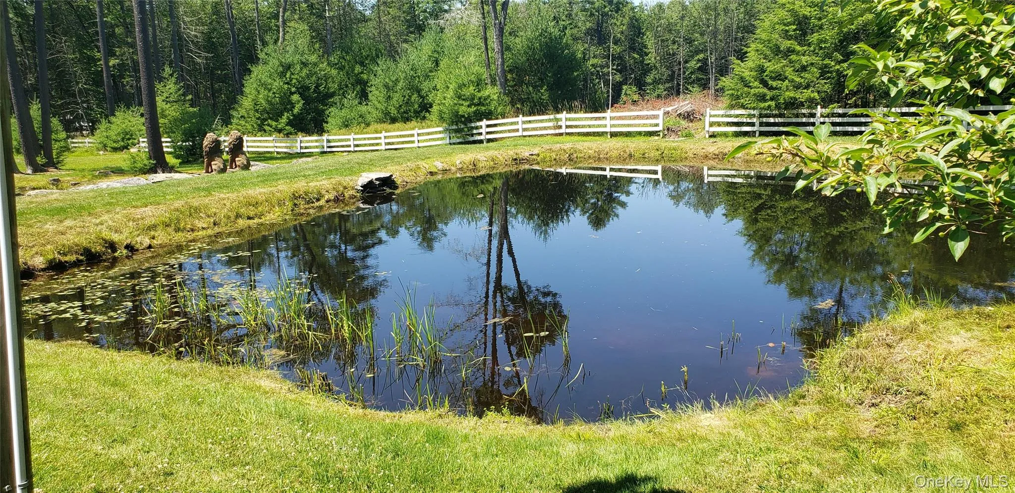 Pond feature surrounded by manicured lawn and a white picket fence Pond feature surrounded by manicured lawn and a white picket fence
