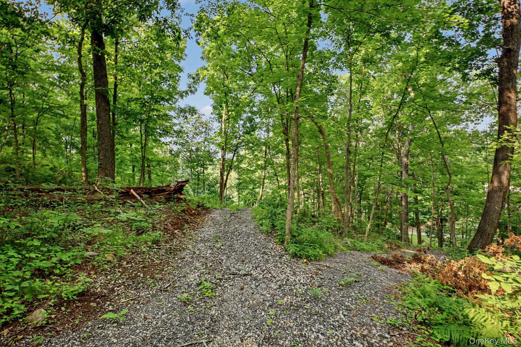 2677 Route 35, Somers, NY, 2 Bedrooms Bedrooms, 5 Rooms Rooms,3 BathroomsBathrooms,Residential,For Rent,Route 35,0,1028613 2677 Route 35, Somers, NY, 2 Bedrooms Bedrooms, 5 Rooms Rooms,3 BathroomsBathrooms,Residential,For Rent,Route 35,0,1028613