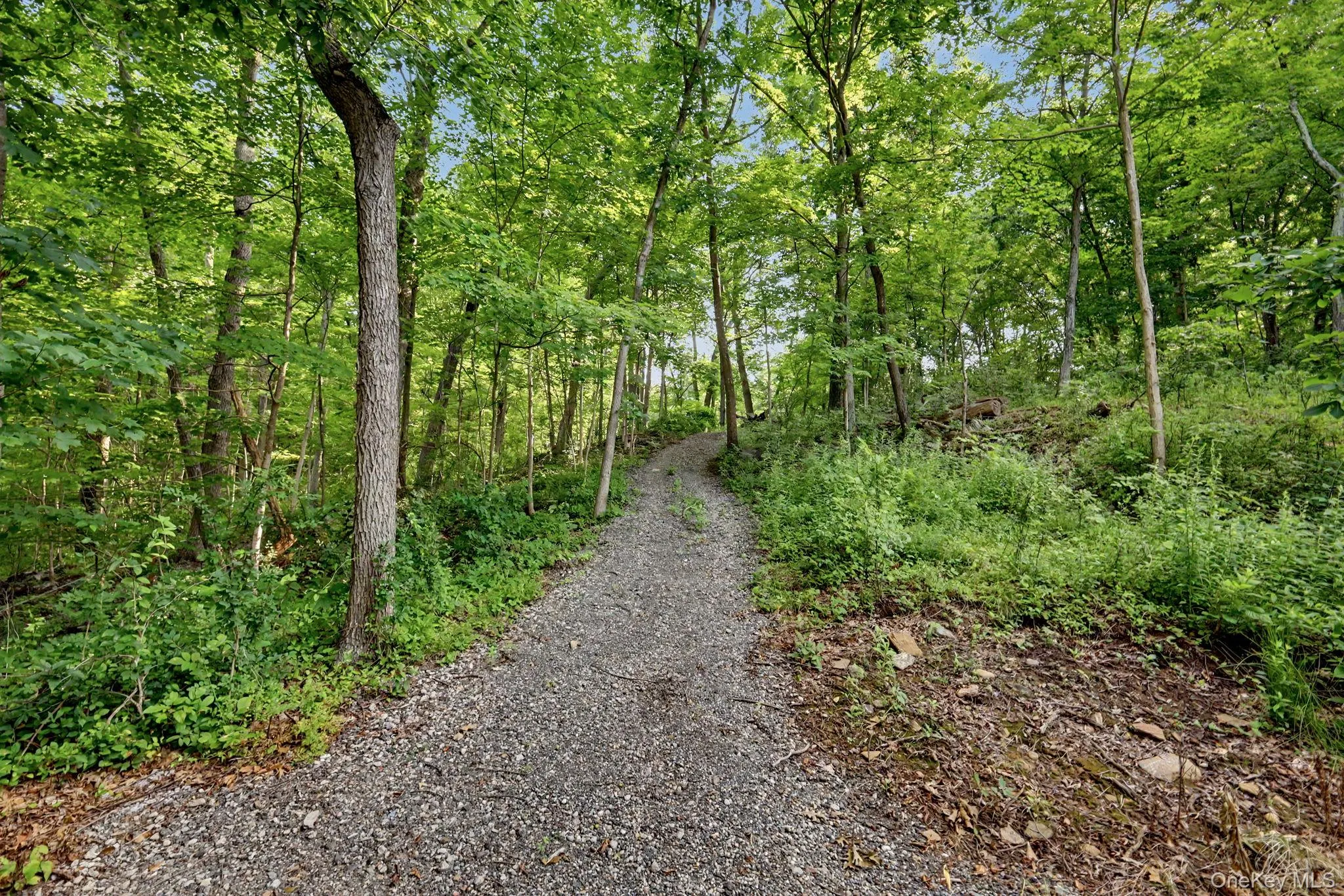 2677 Route 35, Somers, NY, 2 Bedrooms Bedrooms, 5 Rooms Rooms,3 BathroomsBathrooms,Residential,For Rent,Route 35,0,1028613 2677 Route 35, Somers, NY, 2 Bedrooms Bedrooms, 5 Rooms Rooms,3 BathroomsBathrooms,Residential,For Rent,Route 35,0,1028613