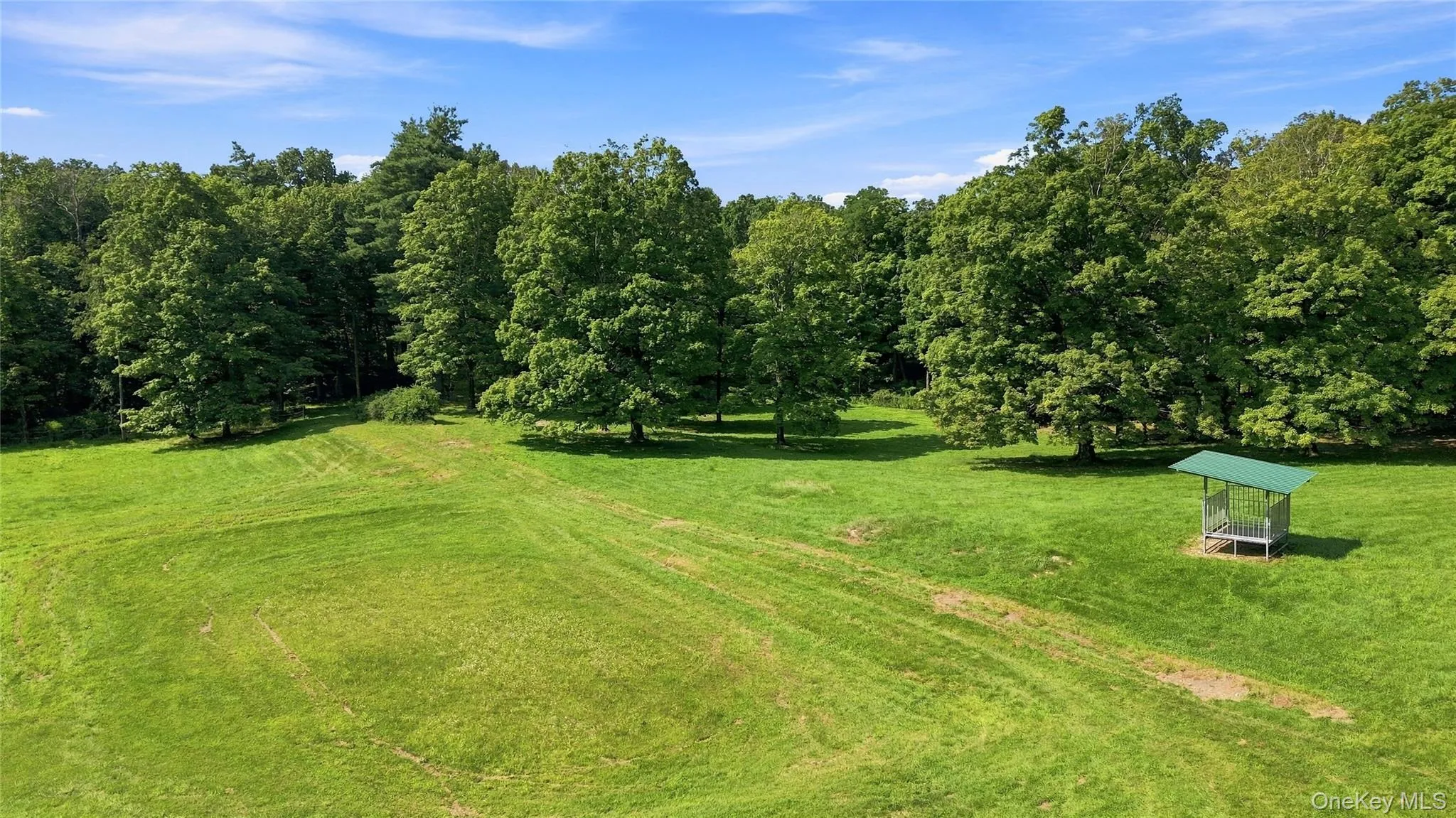 11 Haggerty Hill Road, Rhinebeck, NY, 3 Bedrooms Bedrooms, 8 Rooms Rooms,2 BathroomsBathrooms,Residential,For Rent,Haggerty Hill,0,1028649 11 Haggerty Hill Road, Rhinebeck, NY, 3 Bedrooms Bedrooms, 8 Rooms Rooms,2 BathroomsBathrooms,Residential,For Rent,Haggerty Hill,0,1028649