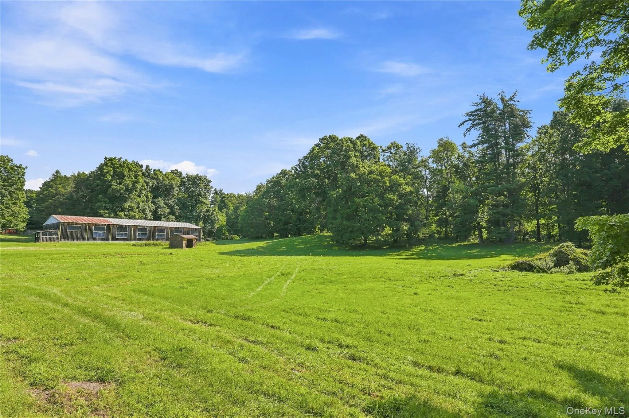 11 Haggerty Hill Road, Rhinebeck, NY, 3 Bedrooms Bedrooms, 8 Rooms Rooms,2 BathroomsBathrooms,Residential,For Rent,Haggerty Hill,0,1028649 11 Haggerty Hill Road, Rhinebeck, NY, 3 Bedrooms Bedrooms, 8 Rooms Rooms,2 BathroomsBathrooms,Residential,For Rent,Haggerty Hill,0,1028649