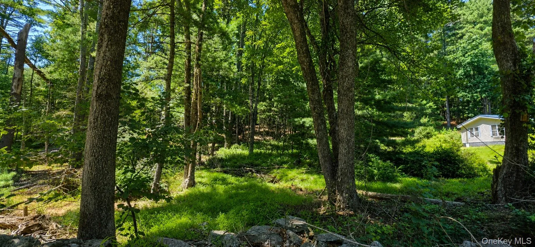 Lot # 7 Irishtown Road, Tusten, NY, ,Land,For Rent,Irishtown,0,1028716 Lot # 7 Irishtown Road, Tusten, NY, ,Land,For Rent,Irishtown,0,1028716