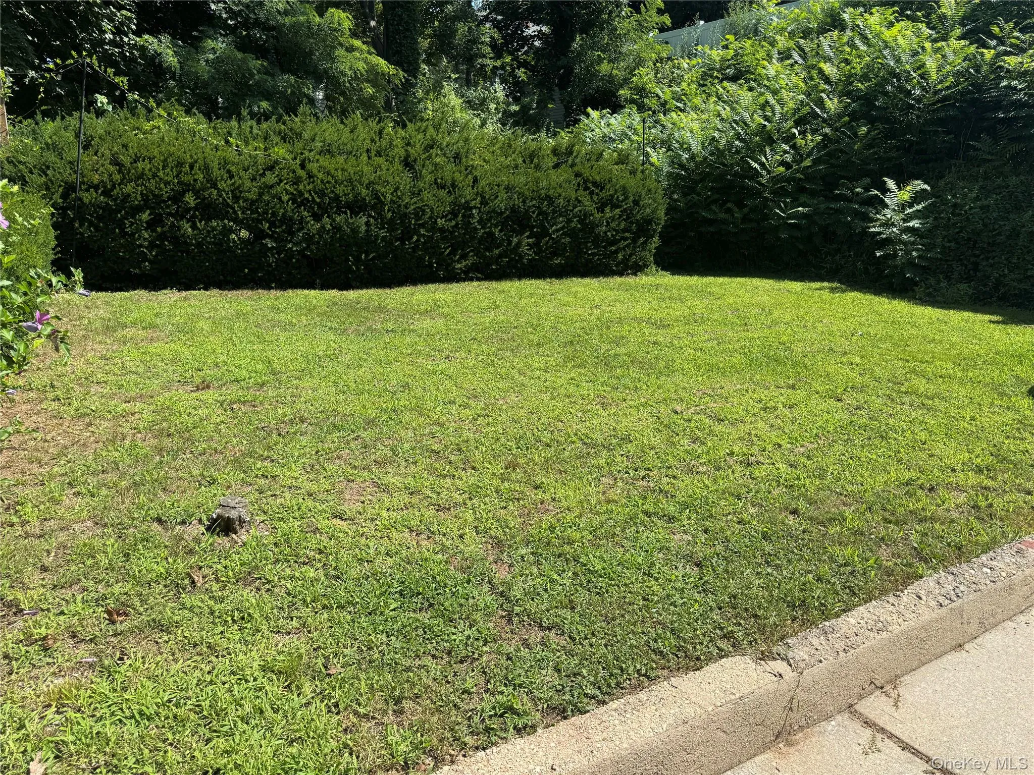 25 Robinson Avenue, Glen Cove, NY, 1 Bedroom Bedrooms, 5 Rooms Rooms,1 BathroomBathrooms,Residential Lease,For Rent,Robinson,0,1028780 25 Robinson Avenue, Glen Cove, NY, 1 Bedroom Bedrooms, 5 Rooms Rooms,1 BathroomBathrooms,Residential Lease,For Rent,Robinson,0,1028780