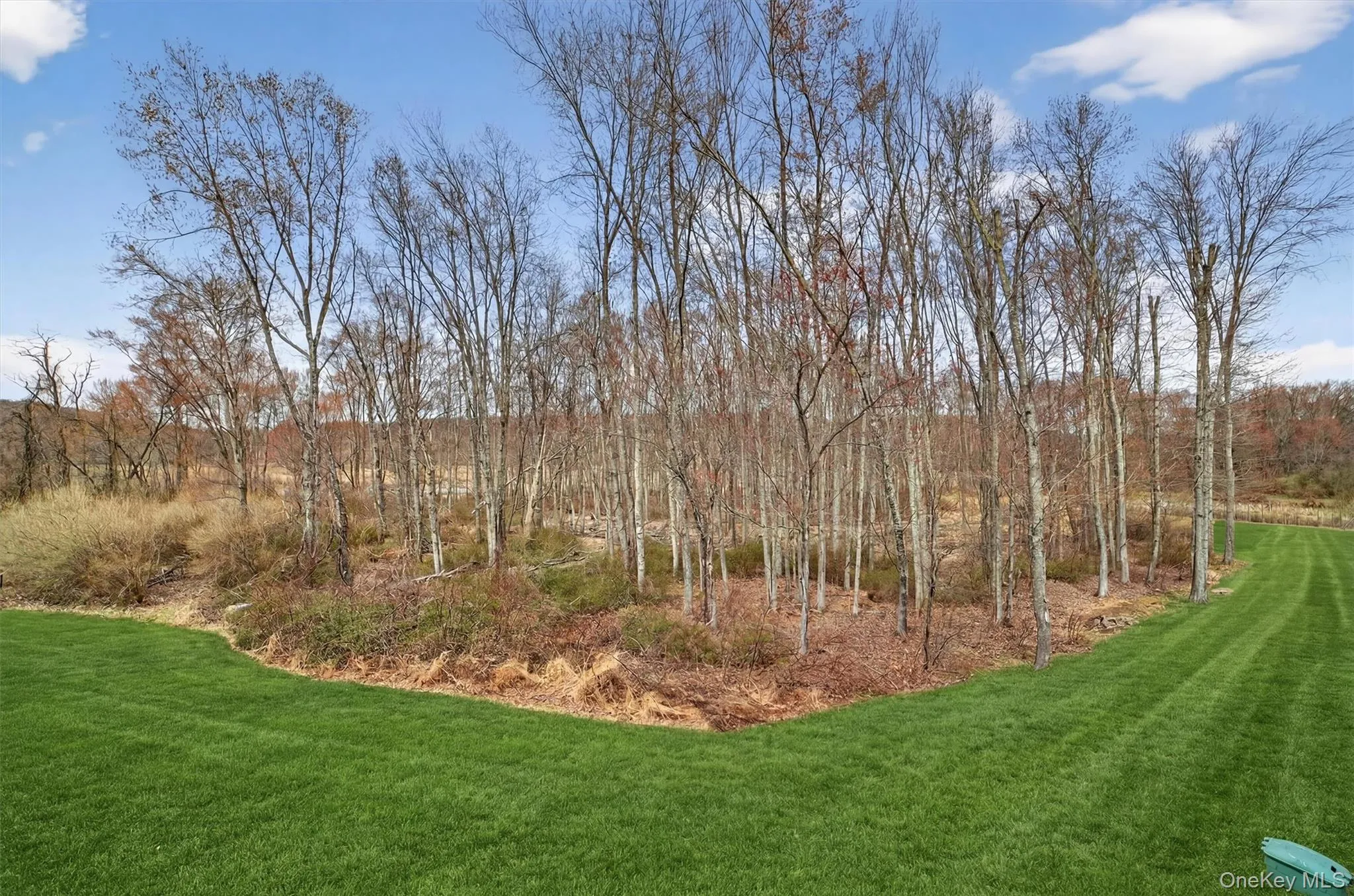44 Spring Meadow Court, Somers, NY, 3 Bedrooms Bedrooms, 9 Rooms Rooms,2 BathroomsBathrooms,Residential,For Rent,Spring Meadow,0,1028784 44 Spring Meadow Court, Somers, NY, 3 Bedrooms Bedrooms, 9 Rooms Rooms,2 BathroomsBathrooms,Residential,For Rent,Spring Meadow,0,1028784