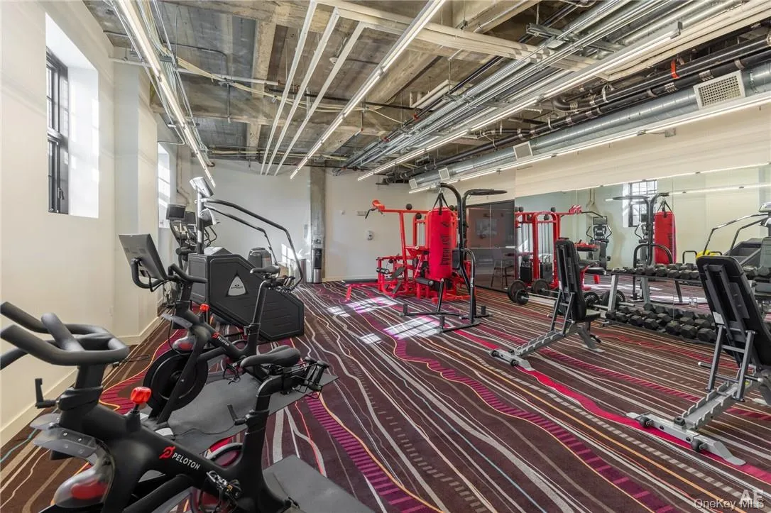 Gym Gym