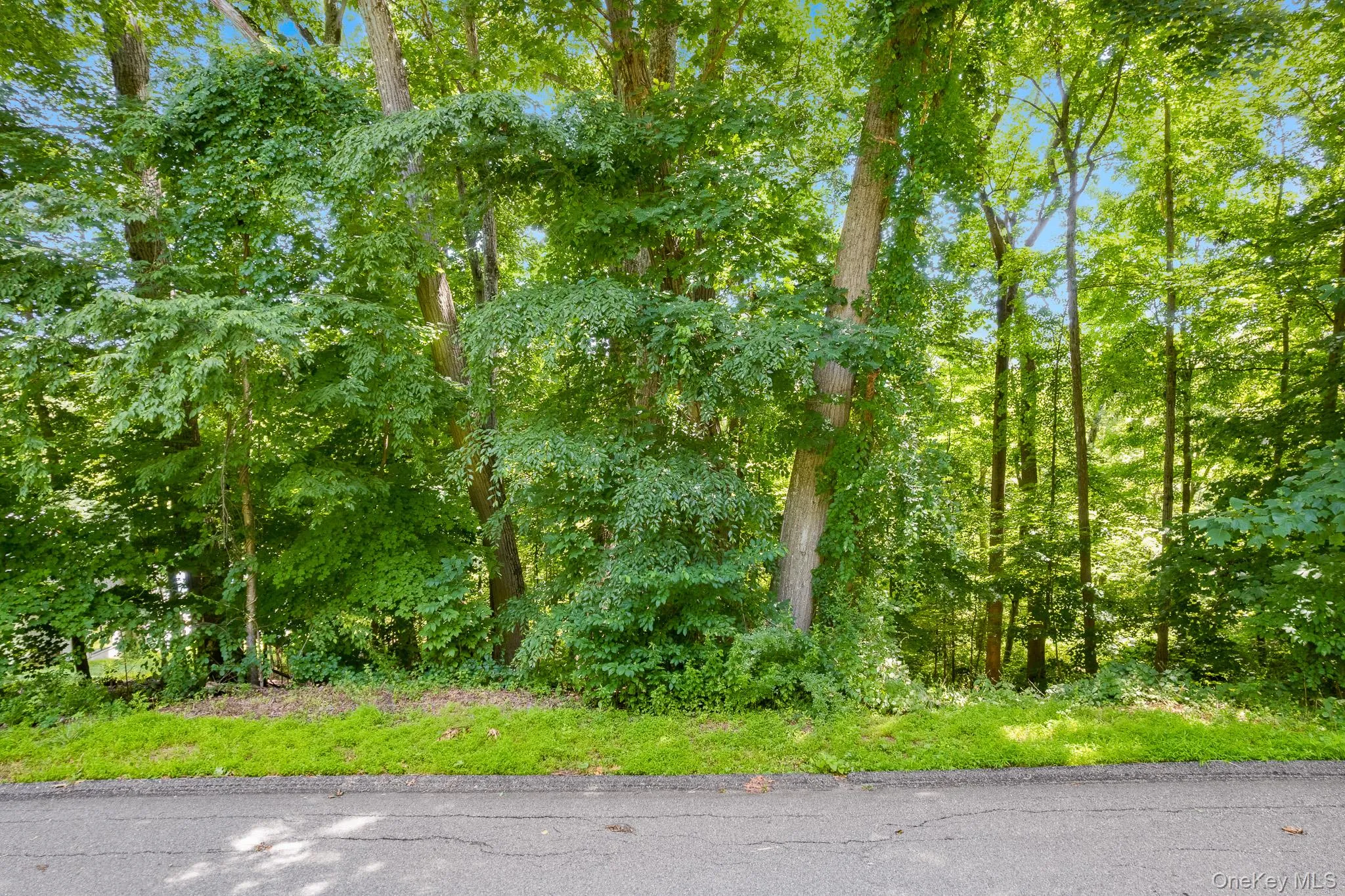 Lot 11 Shamrock Drive, Putnam Valley, NY, ,Land,For Rent,Shamrock,0,1028831 Lot 11 Shamrock Drive, Putnam Valley, NY, ,Land,For Rent,Shamrock,0,1028831