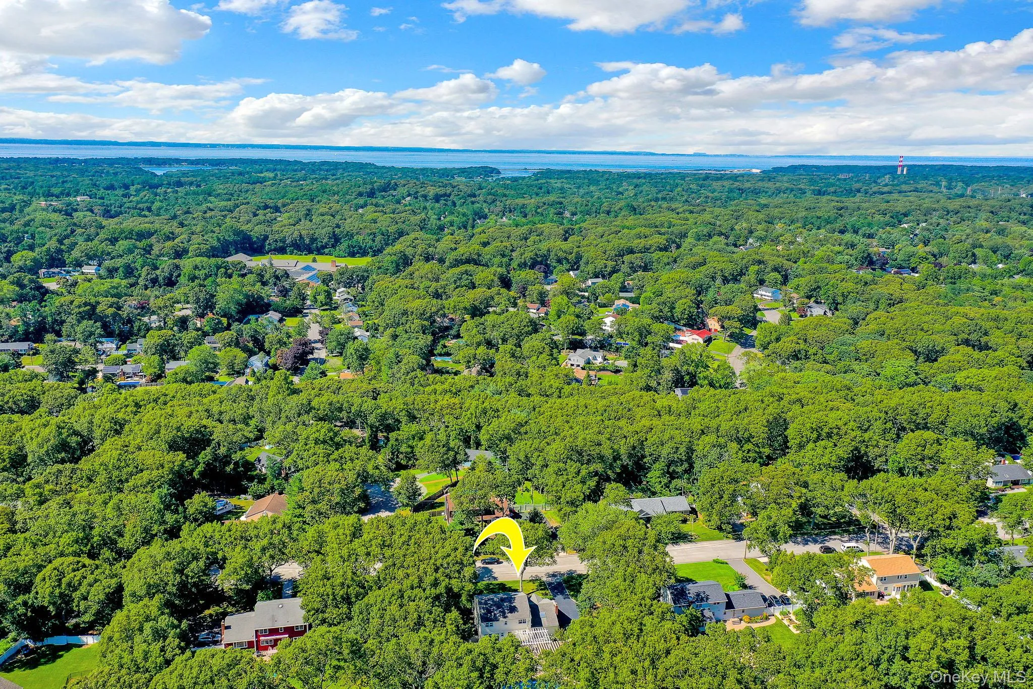 Aerial perspective showcasing a residential area surrounded by extensive tree coverage and distant water Aerial perspective showcasing a residential area surrounded by extensive tree coverage and distant water