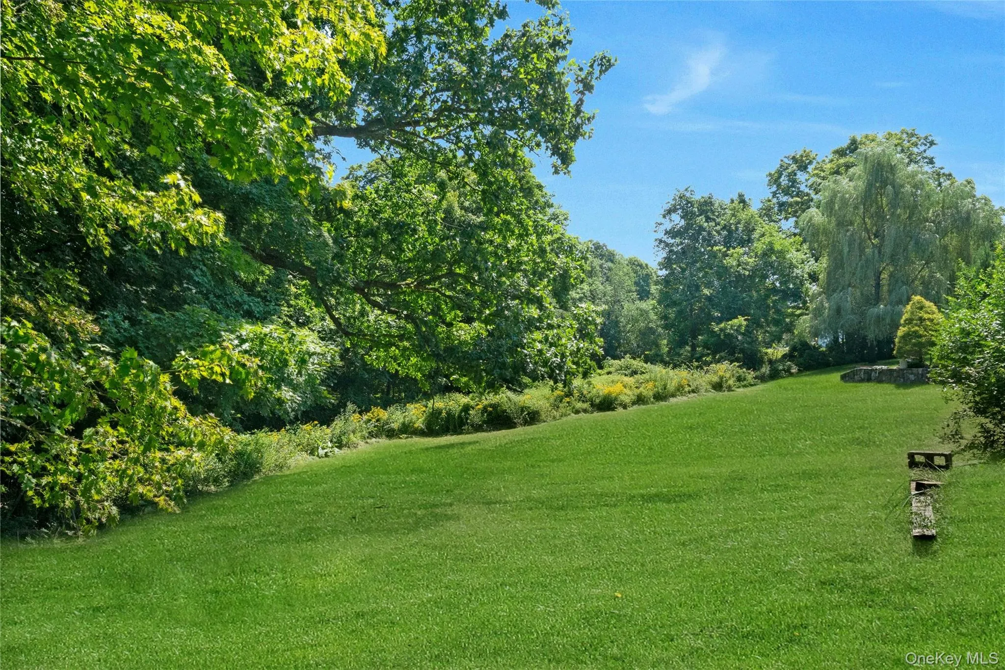 Large backyard bordering County land Large backyard bordering County land