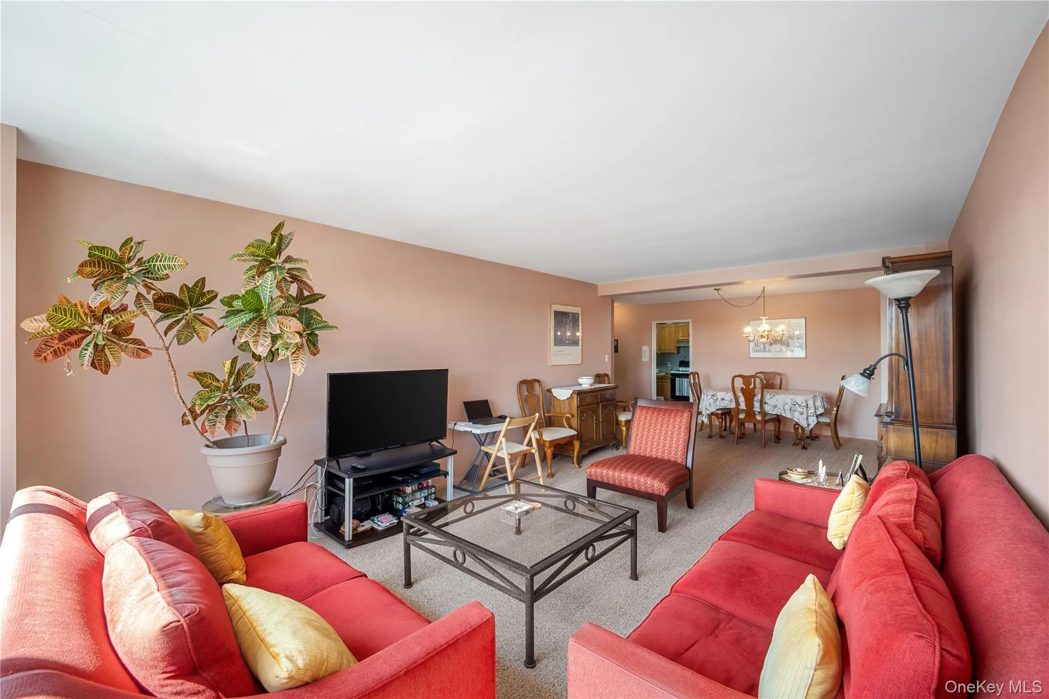 211-65 23rd Avenue, New York, NY, 3 Bedrooms Bedrooms, 6 Rooms Rooms,2 BathroomsBathrooms,Residential,For Rent,23rd,0,1028914 211-65 23rd Avenue, New York, NY, 3 Bedrooms Bedrooms, 6 Rooms Rooms,2 BathroomsBathrooms,Residential,For Rent,23rd,0,1028914