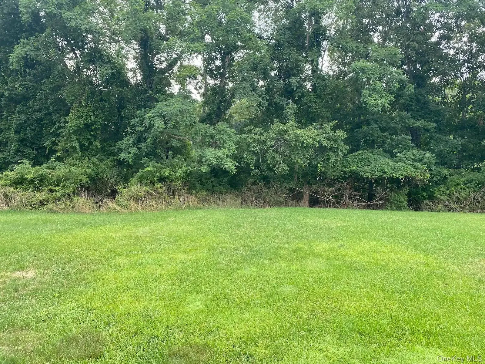 132 Captains Court, Brookhaven, NY, 2 Bedrooms Bedrooms, 7 Rooms Rooms,2 BathroomsBathrooms,Residential,For Rent,Captains,0,1028949 132 Captains Court, Brookhaven, NY, 2 Bedrooms Bedrooms, 7 Rooms Rooms,2 BathroomsBathrooms,Residential,For Rent,Captains,0,1028949
