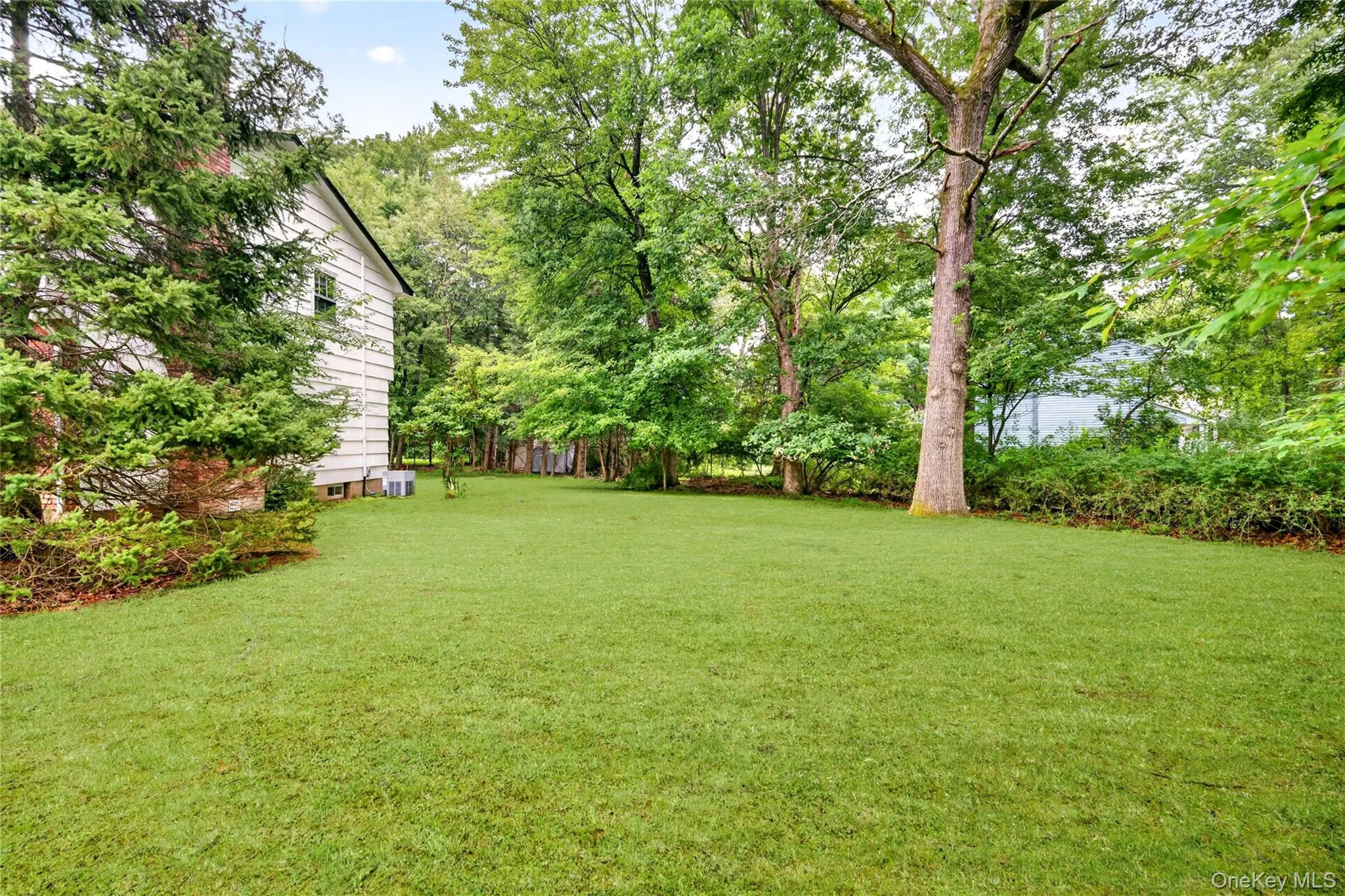 Spacious rear yard with expansive lawn, mature perimeter trees, and established shrubbery Spacious rear yard with expansive lawn, mature perimeter trees, and established shrubbery