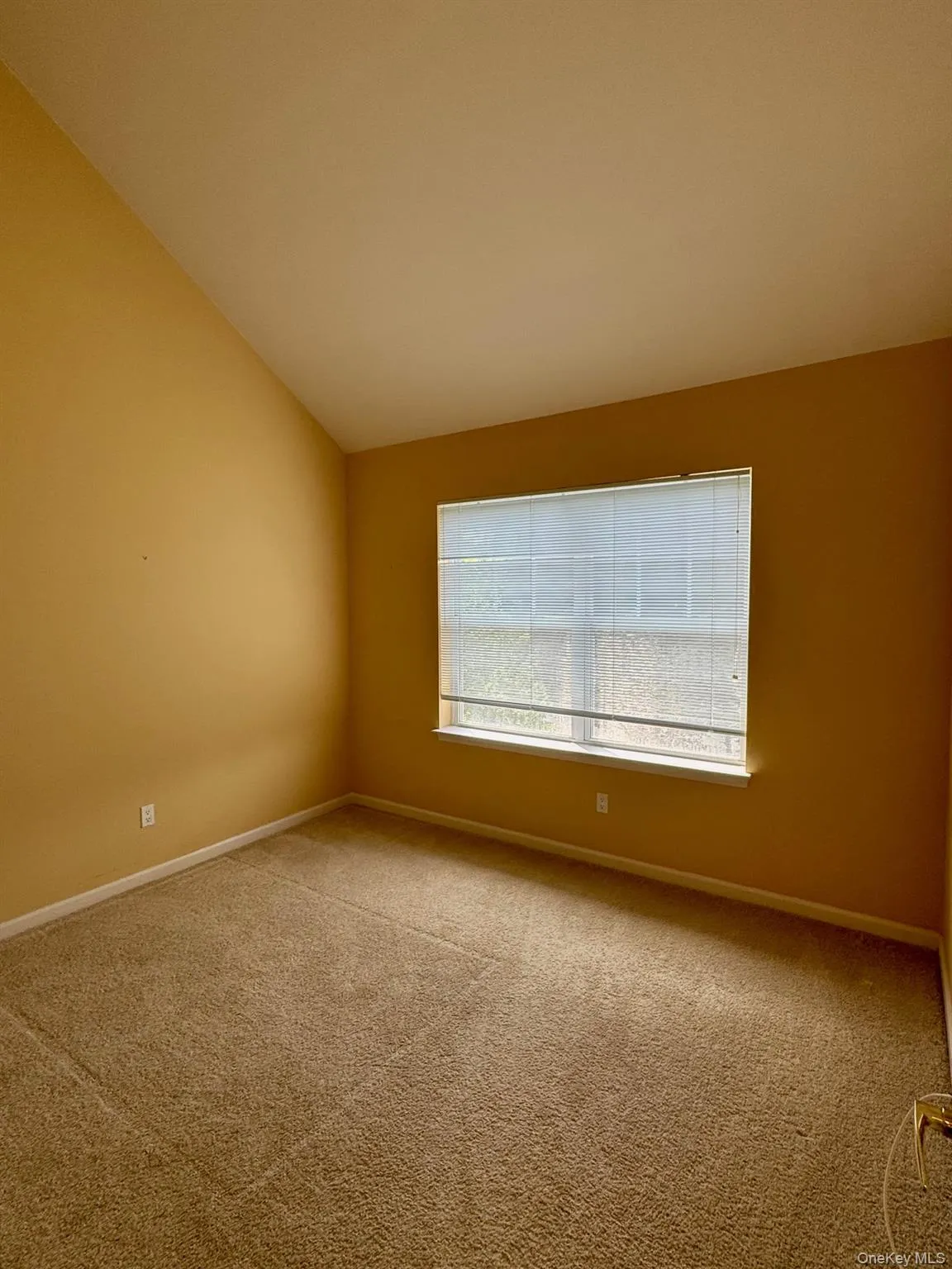 Carpeted empty room with baseboards and lofted ceiling Carpeted empty room with baseboards and lofted ceiling