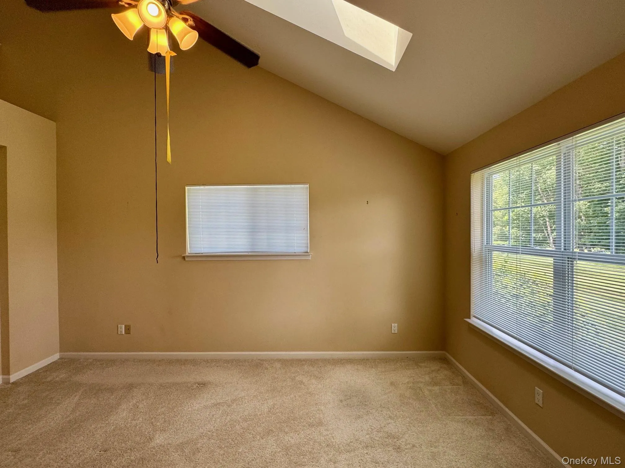 Spare room with a skylight, light colored carpet, lofted ceiling, and a ceiling fan Spare room with a skylight, light colored carpet, lofted ceiling, and a ceiling fan