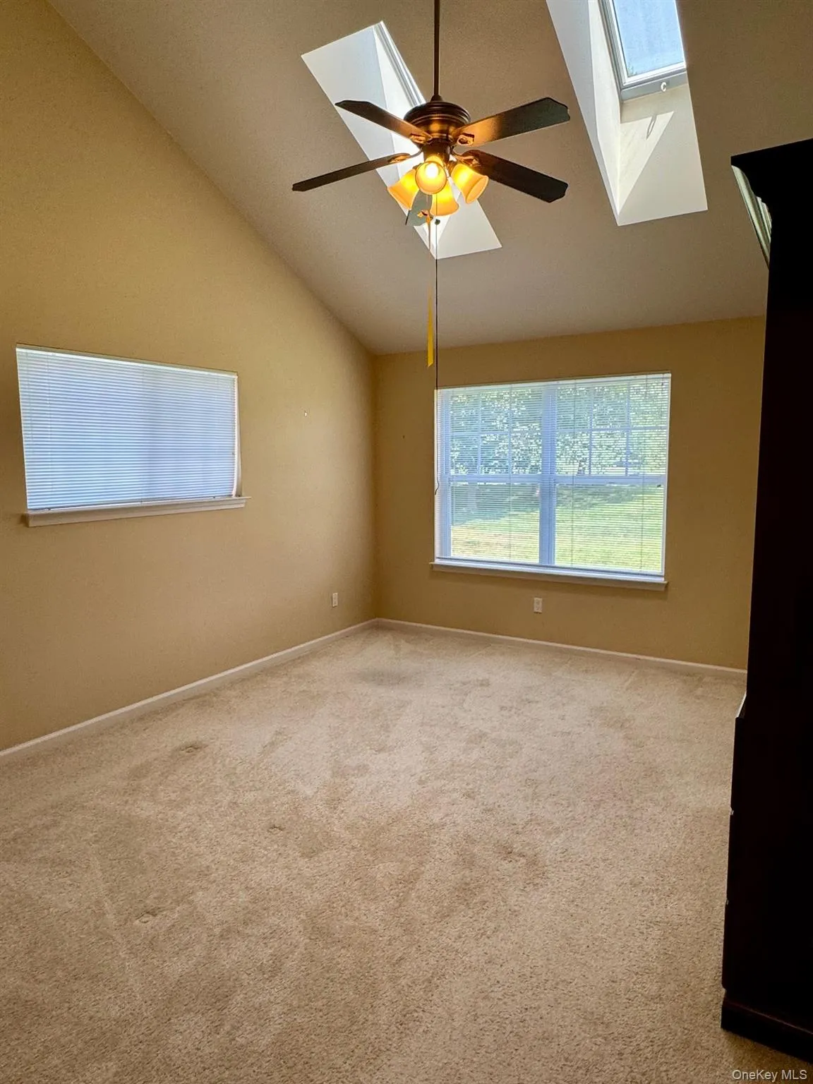 Unfurnished room featuring a skylight, lofted ceiling, carpet flooring, and ceiling fan Unfurnished room featuring a skylight, lofted ceiling, carpet flooring, and ceiling fan