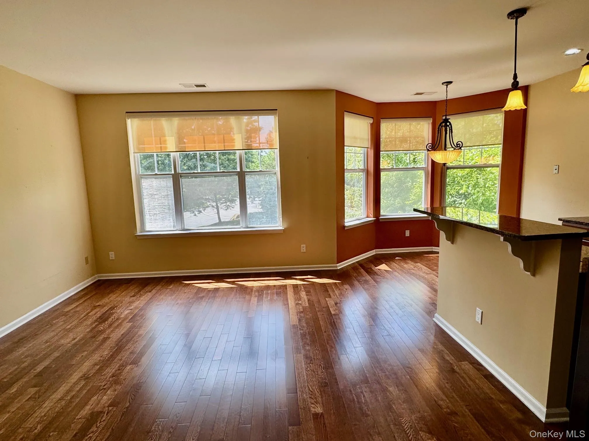 Spare room with dark wood-type flooring and baseboards Spare room with dark wood-type flooring and baseboards