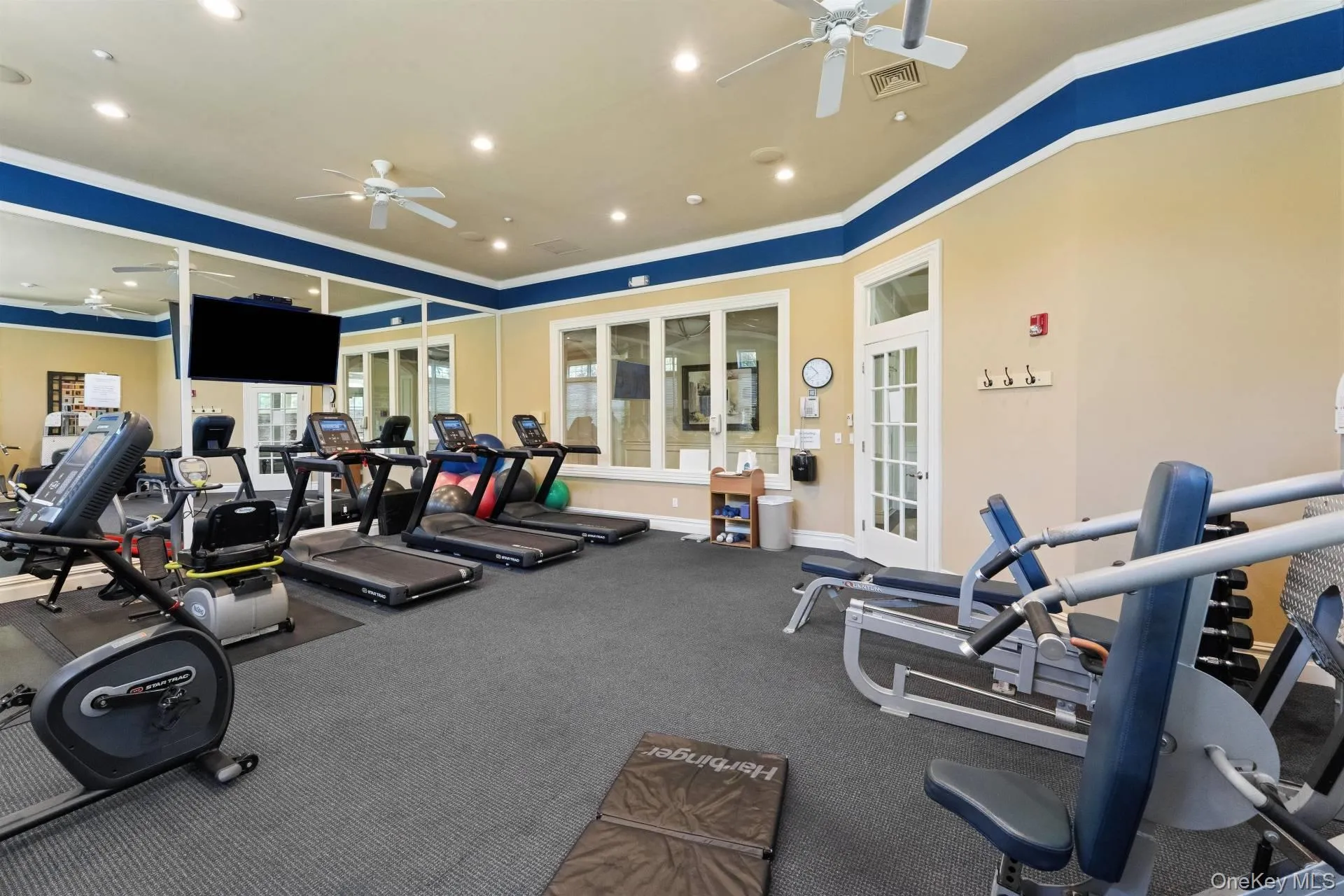 Gym Gym