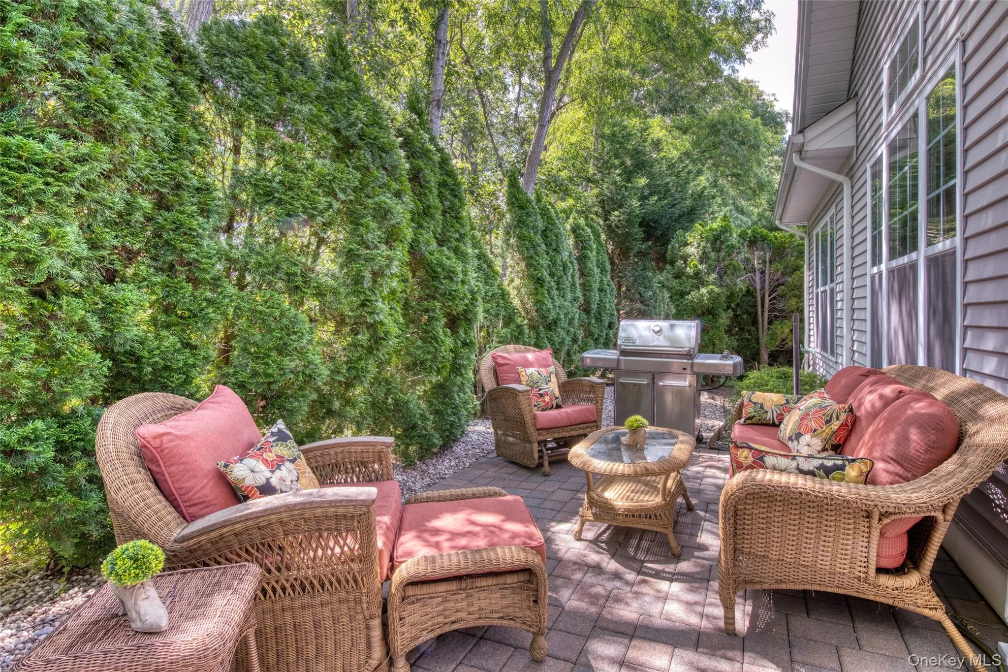 Backyard Backyard