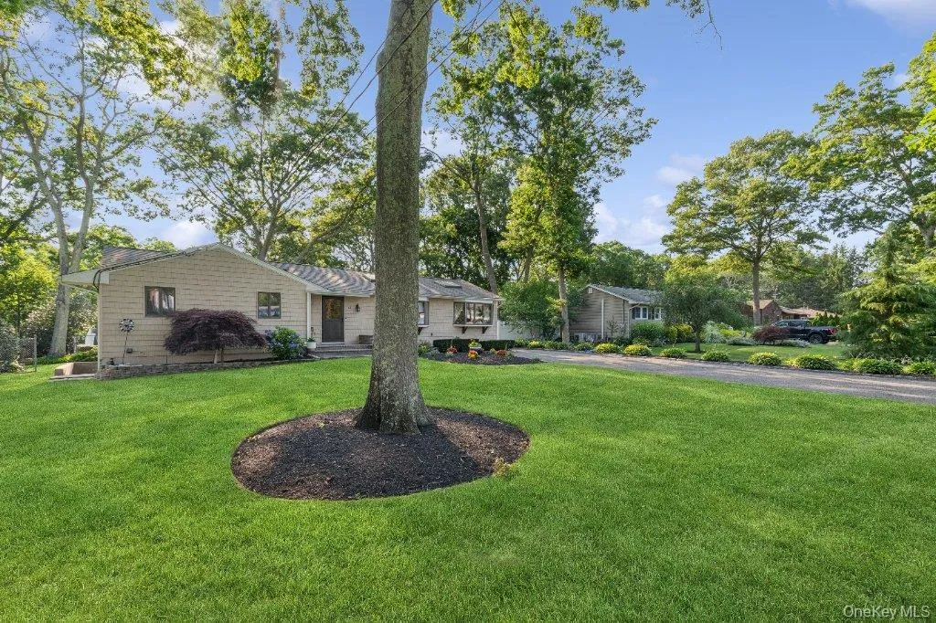 61 Timber Drive, Riverhead, NY, 3 Bedrooms Bedrooms, 9 Rooms Rooms,1 BathroomBathrooms,Residential,For Rent,Timber,0,1029041 61 Timber Drive, Riverhead, NY, 3 Bedrooms Bedrooms, 9 Rooms Rooms,1 BathroomBathrooms,Residential,For Rent,Timber,0,1029041