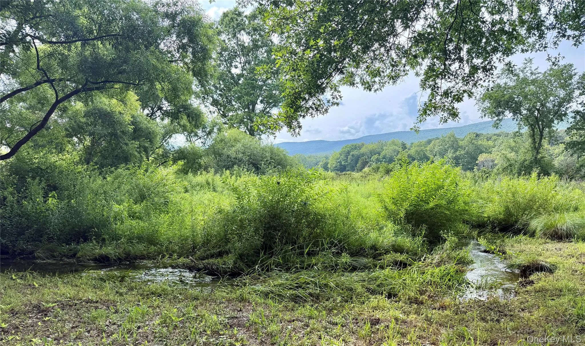 Stream with mountain views Stream with mountain views