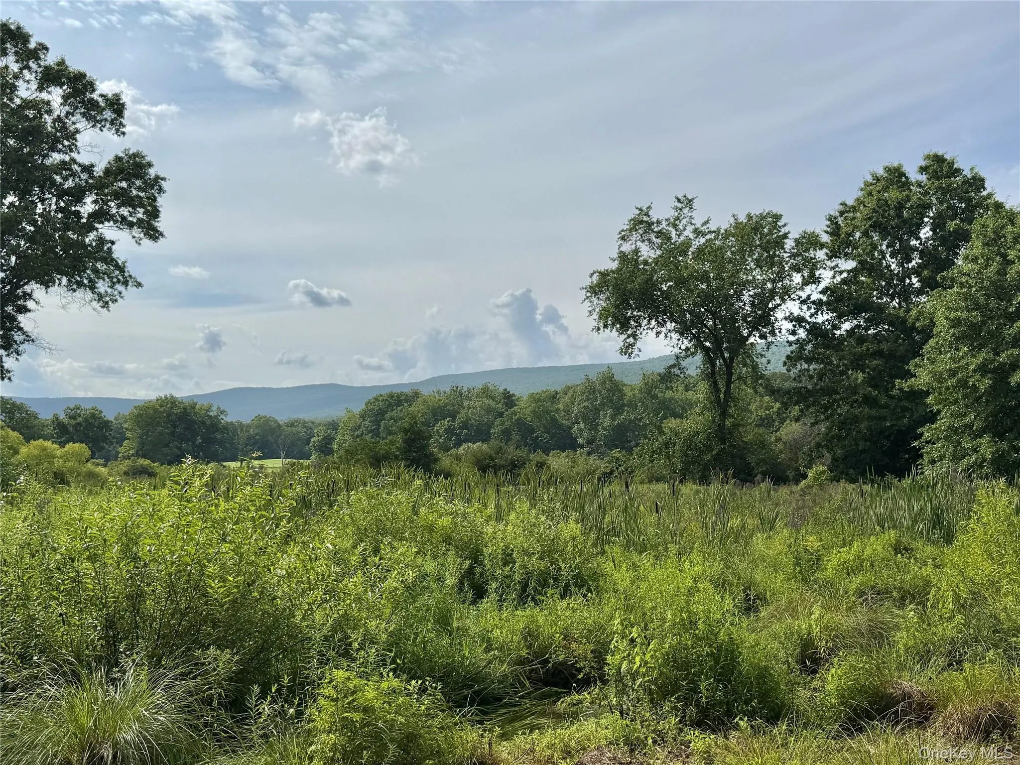 View of the Shawangunk Mountains View of the Shawangunk Mountains