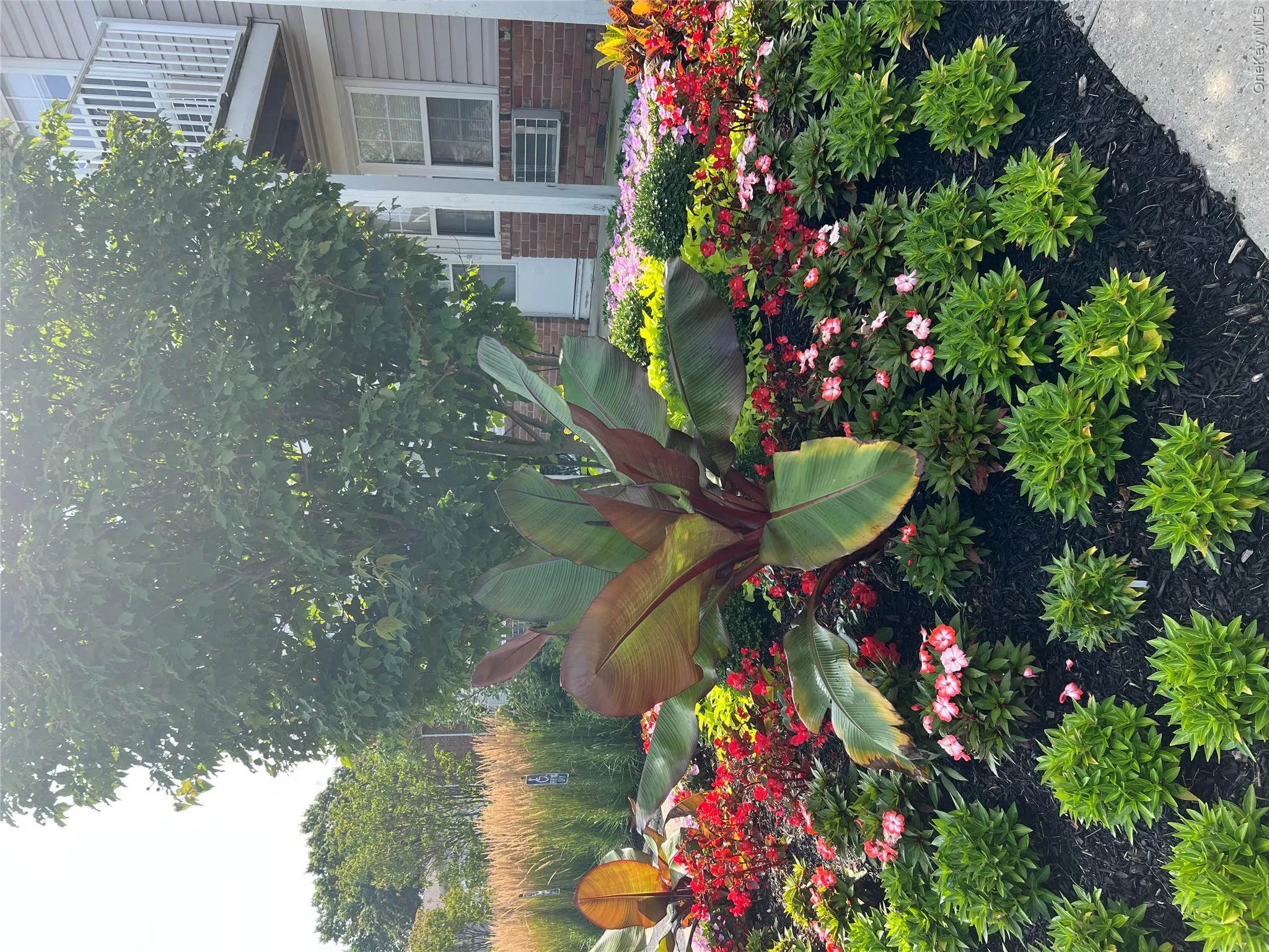 211 Hawthorne Avenue, Islip, NY, 2 Bedrooms Bedrooms, 4 Rooms Rooms,1 BathroomBathrooms,Residential Lease,For Rent,Hawthorne,0,1029104 211 Hawthorne Avenue, Islip, NY, 2 Bedrooms Bedrooms, 4 Rooms Rooms,1 BathroomBathrooms,Residential Lease,For Rent,Hawthorne,0,1029104