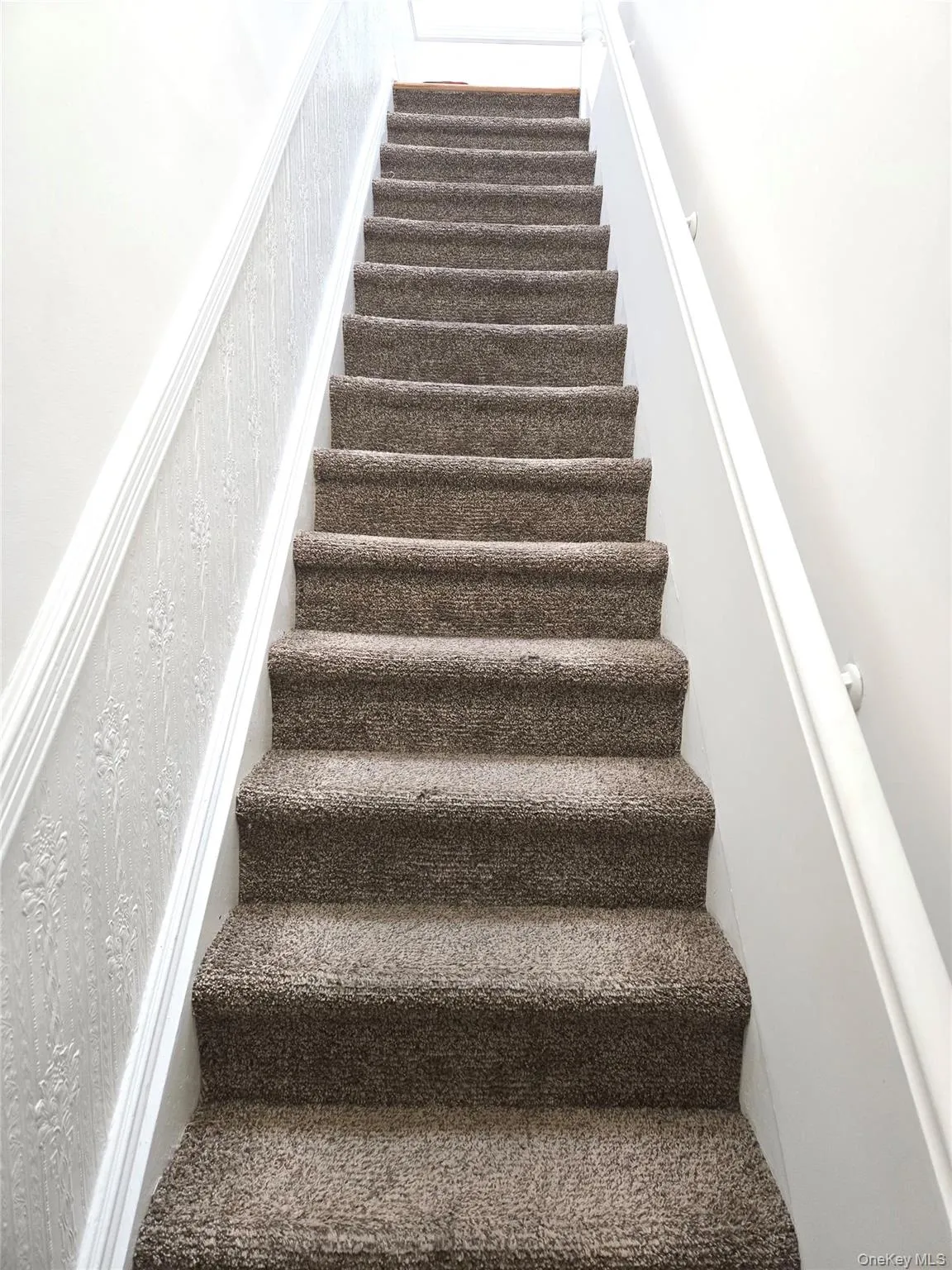 5936 Woodbine Street, New York, NY, 3 Bedrooms Bedrooms, 6 Rooms Rooms,1 BathroomBathrooms,Residential Lease,For Rent,Woodbine,0,1029153 5936 Woodbine Street, New York, NY, 3 Bedrooms Bedrooms, 6 Rooms Rooms,1 BathroomBathrooms,Residential Lease,For Rent,Woodbine,0,1029153