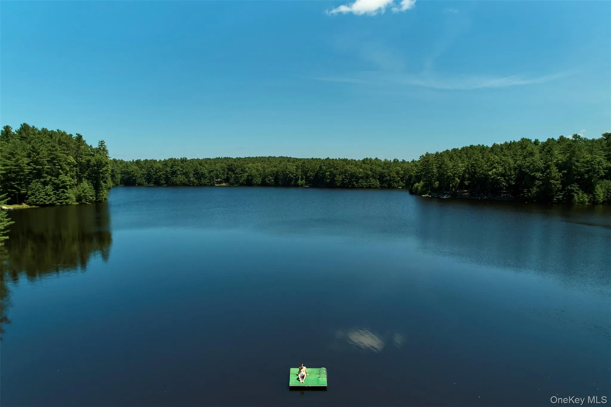 167 Timber Lake Drive, Highland, NY, 3 Bedrooms Bedrooms, 6 Rooms Rooms,3 BathroomsBathrooms,Residential,For Rent,Timber Lake,0,1029181 167 Timber Lake Drive, Highland, NY, 3 Bedrooms Bedrooms, 6 Rooms Rooms,3 BathroomsBathrooms,Residential,For Rent,Timber Lake,0,1029181