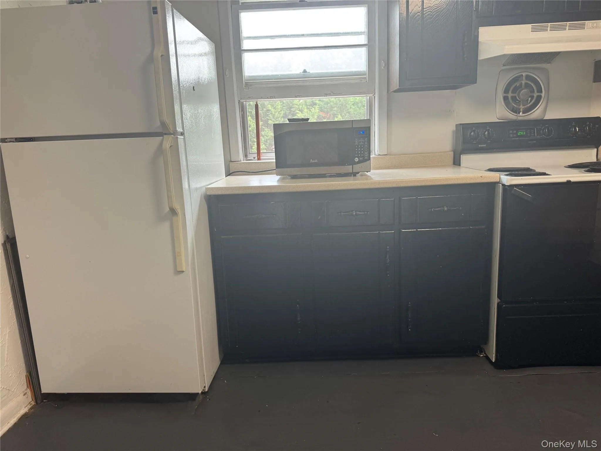 124 Parkdale Drive, Babylon, NY, 3 Bedrooms Bedrooms, 5 Rooms Rooms,1 BathroomBathrooms,Residential Lease,For Rent,Parkdale,0,1029186 124 Parkdale Drive, Babylon, NY, 3 Bedrooms Bedrooms, 5 Rooms Rooms,1 BathroomBathrooms,Residential Lease,For Rent,Parkdale,0,1029186