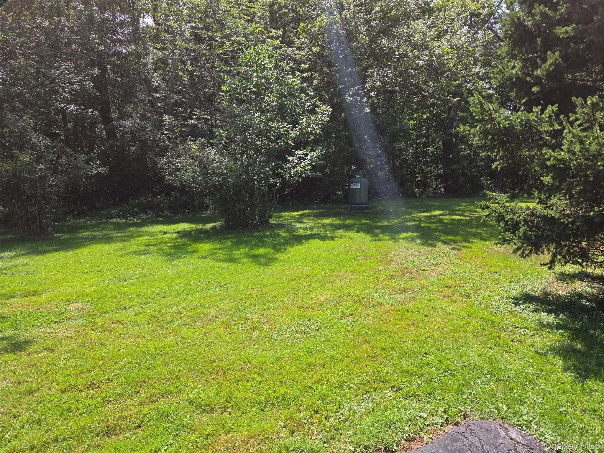 3019 Rt 17B, Cochecton, NY, 4 Bedrooms Bedrooms, 9 Rooms Rooms,2 BathroomsBathrooms,Residential,For Rent,Rt 17B,0,1029187 3019 Rt 17B, Cochecton, NY, 4 Bedrooms Bedrooms, 9 Rooms Rooms,2 BathroomsBathrooms,Residential,For Rent,Rt 17B,0,1029187