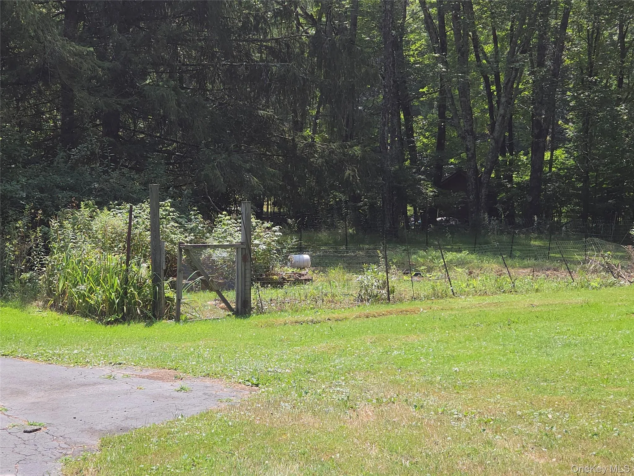 3019 Rt 17B, Cochecton, NY, 4 Bedrooms Bedrooms, 9 Rooms Rooms,2 BathroomsBathrooms,Residential,For Rent,Rt 17B,0,1029187 3019 Rt 17B, Cochecton, NY, 4 Bedrooms Bedrooms, 9 Rooms Rooms,2 BathroomsBathrooms,Residential,For Rent,Rt 17B,0,1029187