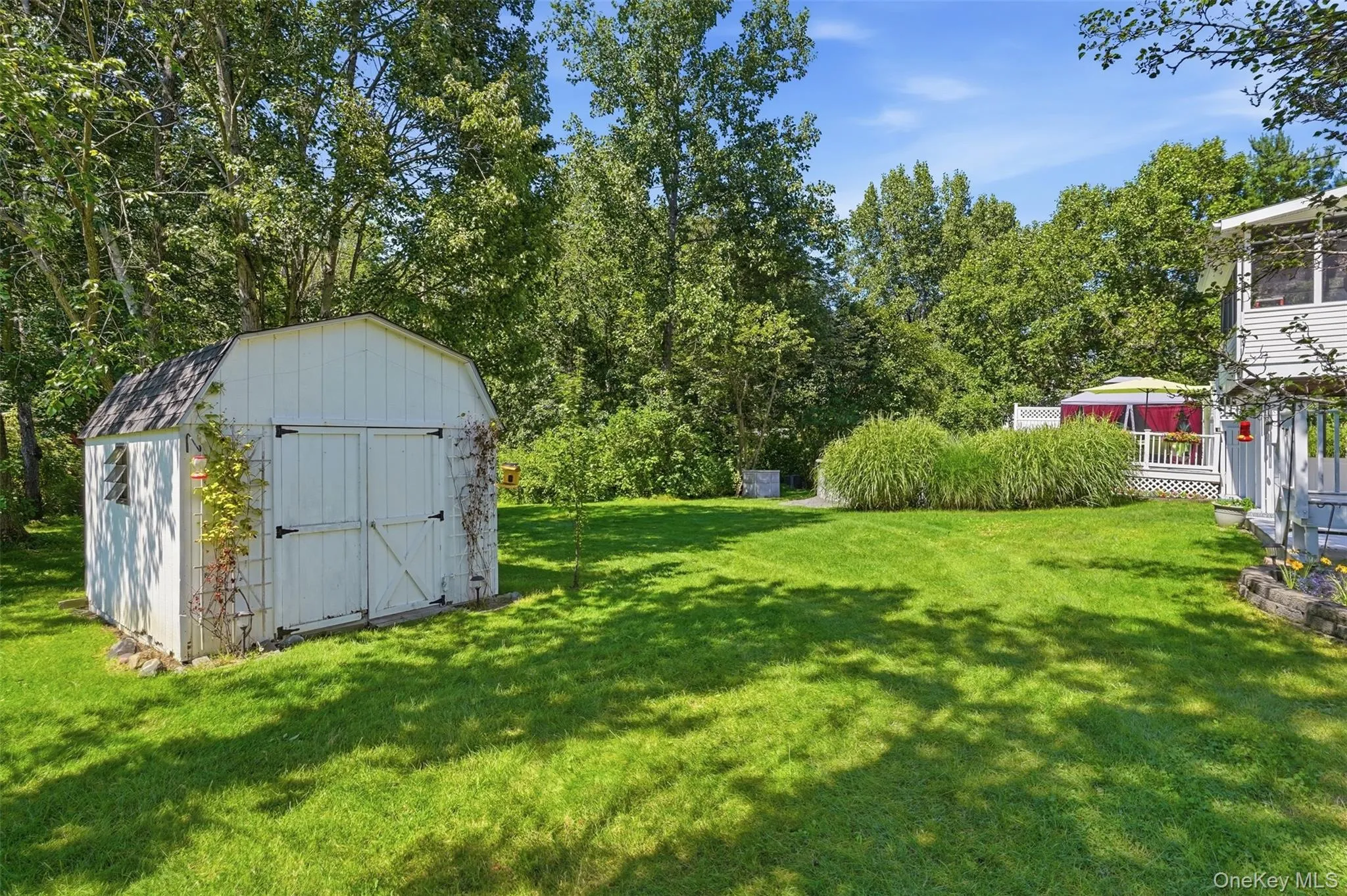 Shed Shed