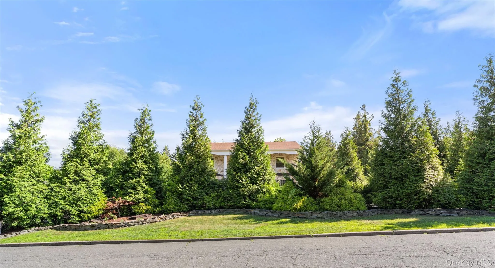 3 Tor Terrace, Clarkstown, NY, 5 Bedrooms Bedrooms, 10 Rooms Rooms,3 BathroomsBathrooms,Residential,For Rent,Tor,0,1029240 3 Tor Terrace, Clarkstown, NY, 5 Bedrooms Bedrooms, 10 Rooms Rooms,3 BathroomsBathrooms,Residential,For Rent,Tor,0,1029240