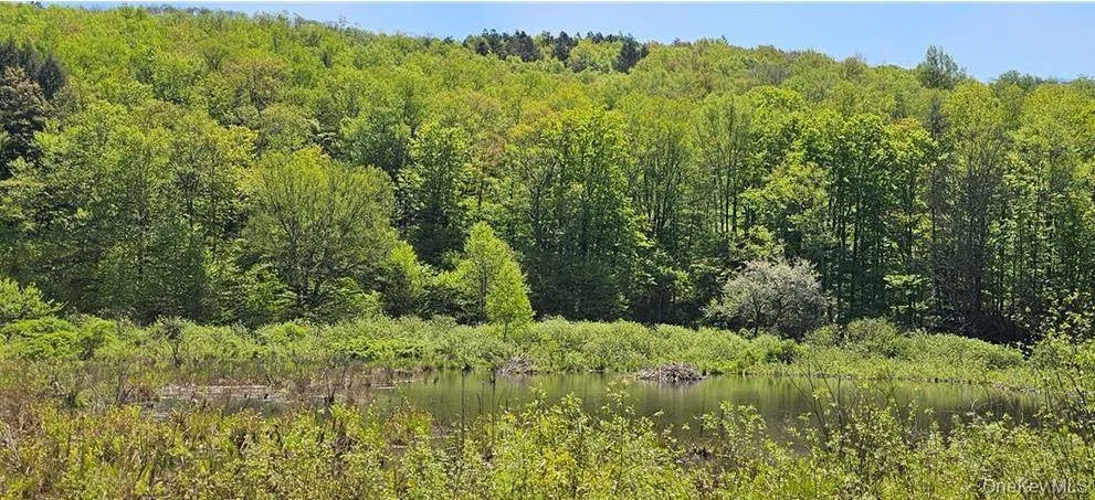 9003 County Hwy 28, Hancock, NY, 2 Bedrooms Bedrooms, 5 Rooms Rooms,1 BathroomBathrooms,Residential,For Rent,County Hwy 28,0,1029273 9003 County Hwy 28, Hancock, NY, 2 Bedrooms Bedrooms, 5 Rooms Rooms,1 BathroomBathrooms,Residential,For Rent,County Hwy 28,0,1029273