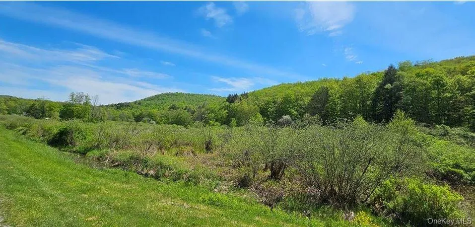 9003 County Hwy 28, Hancock, NY, 2 Bedrooms Bedrooms, 5 Rooms Rooms,1 BathroomBathrooms,Residential,For Rent,County Hwy 28,0,1029273 9003 County Hwy 28, Hancock, NY, 2 Bedrooms Bedrooms, 5 Rooms Rooms,1 BathroomBathrooms,Residential,For Rent,County Hwy 28,0,1029273