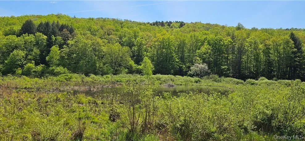 9003 County Hwy 28, Hancock, NY, 2 Bedrooms Bedrooms, 5 Rooms Rooms,1 BathroomBathrooms,Residential,For Rent,County Hwy 28,0,1029273 9003 County Hwy 28, Hancock, NY, 2 Bedrooms Bedrooms, 5 Rooms Rooms,1 BathroomBathrooms,Residential,For Rent,County Hwy 28,0,1029273