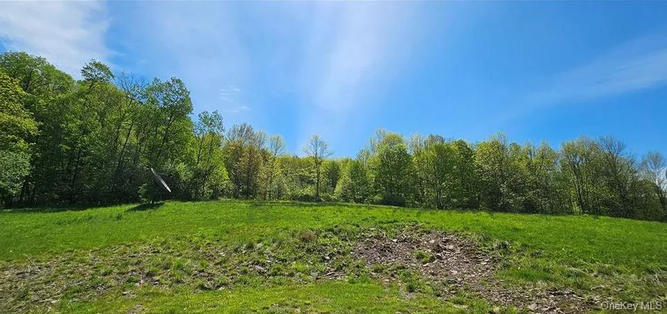 9003 County Hwy 28, Hancock, NY, 2 Bedrooms Bedrooms, 5 Rooms Rooms,1 BathroomBathrooms,Residential,For Rent,County Hwy 28,0,1029273 9003 County Hwy 28, Hancock, NY, 2 Bedrooms Bedrooms, 5 Rooms Rooms,1 BathroomBathrooms,Residential,For Rent,County Hwy 28,0,1029273