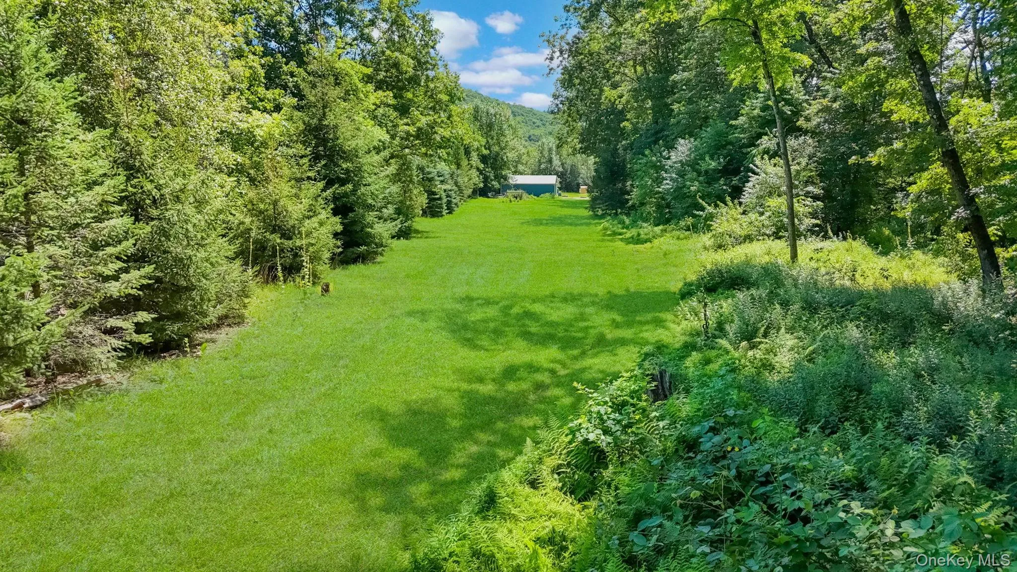 Pole Barn in distance and this is length of property continuing thru. Pole Barn in distance and this is length of property continuing thru.