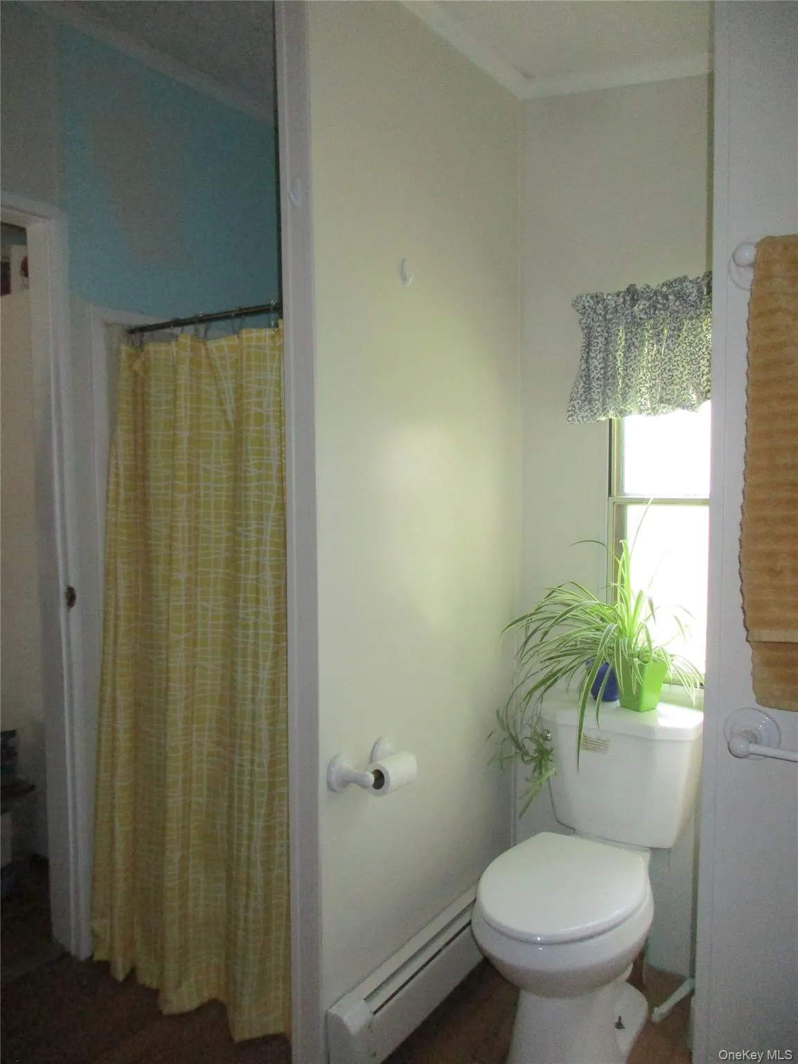 private area in bathroom private area in bathroom